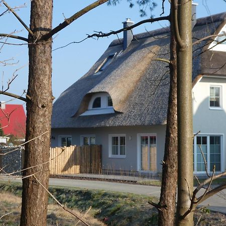 Kleine Seenixe Ostseeheilbad Ostseeheilbad Zingst Exterior foto